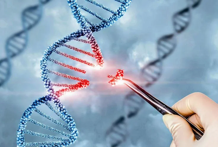 Vai trò của NAD+ với lão hóa và tuổi thọ