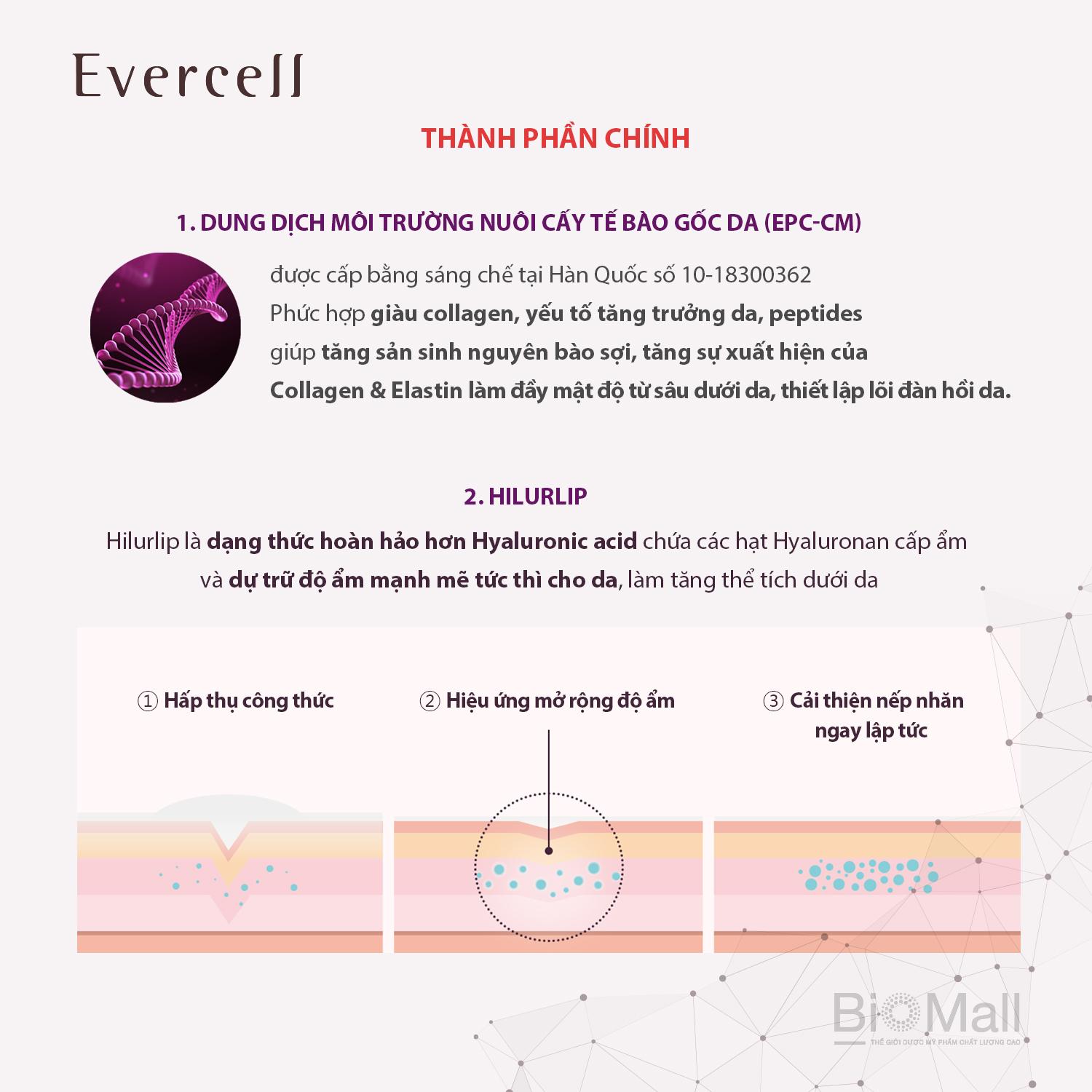 Evercell Deep Wrinkle Solution Expert 10ml