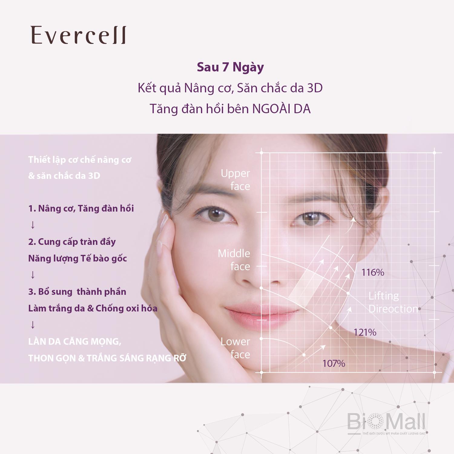 Evercell Radiance Lifting Cream