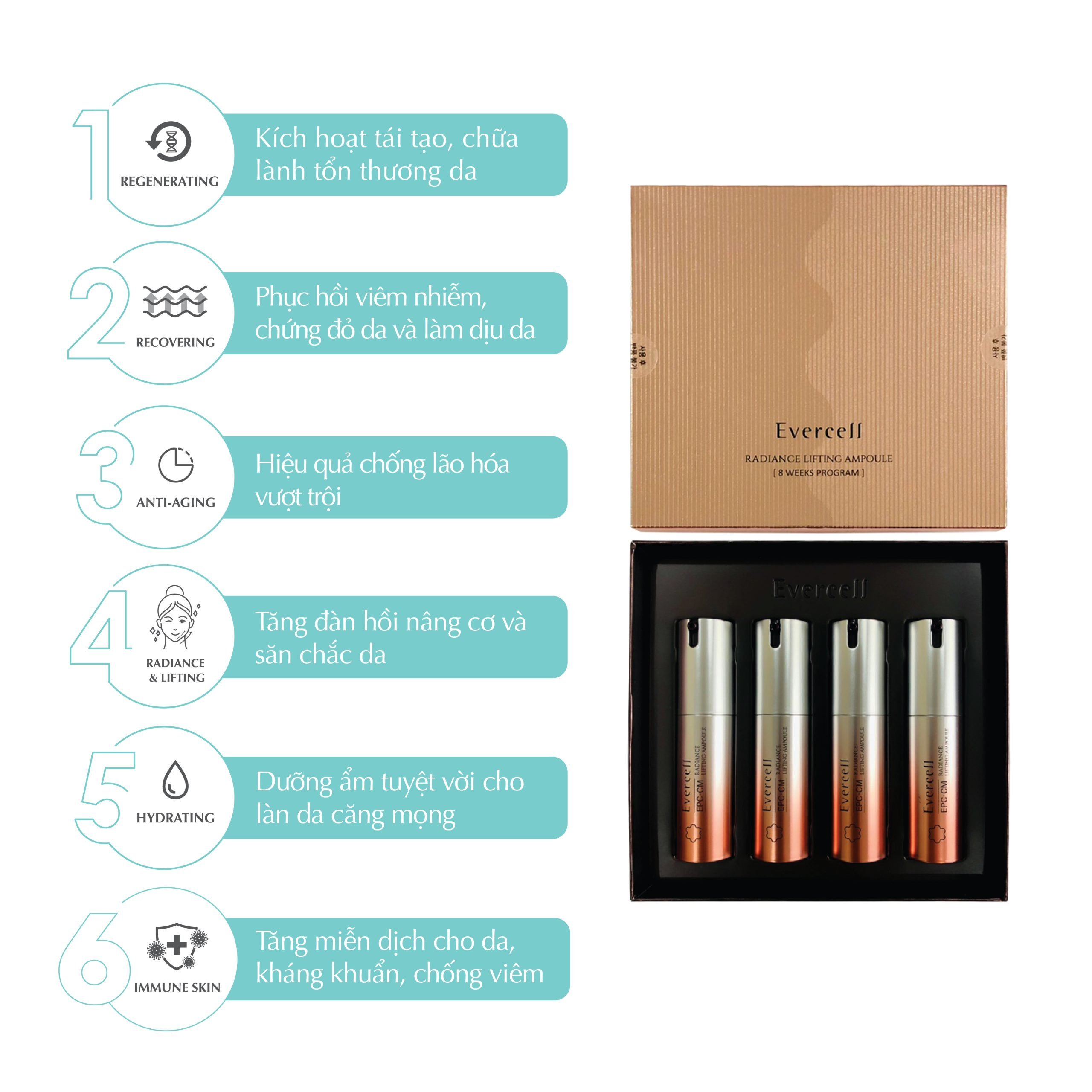 Set 4 Evercell Radiance Lifting Ampoule