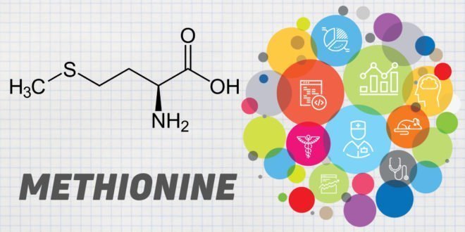 Methionine 