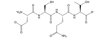 Sh-polypeptide-