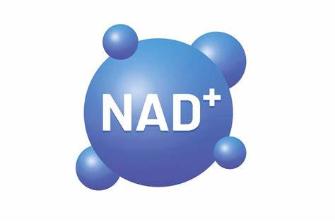 Cơ chế hoạt động của NAD+ trong cơ thể con người