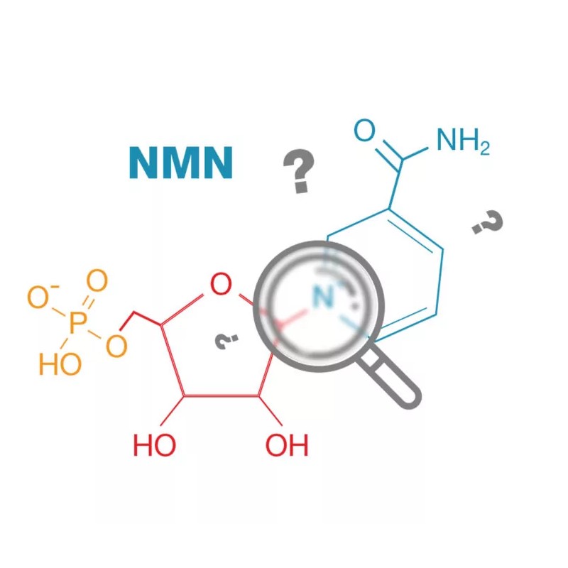 NMN là gì và có tác dụng gì với làn da và cơ thể